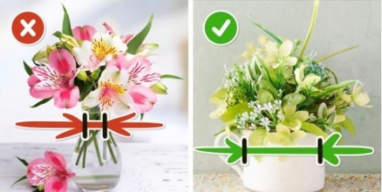 娟蝶鲜花app下载