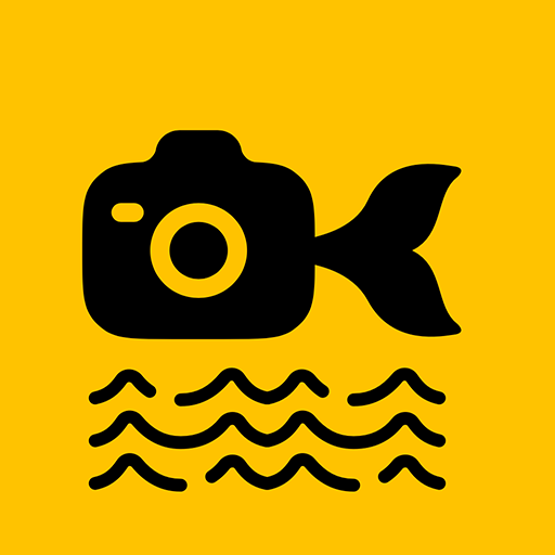 鱼丸水印相机app最新版v1.5.1 官方版